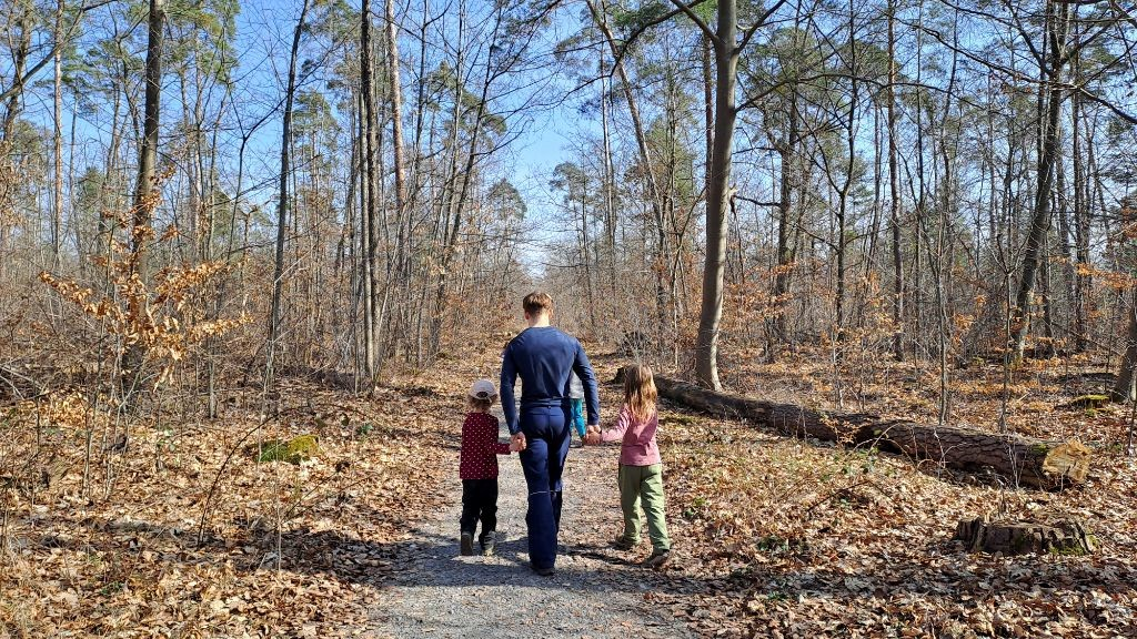 Ein junger FSJler mit zwei Kindergartenkindern die im Wald spazieren.